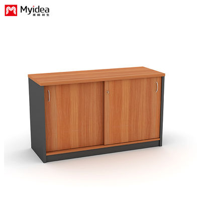 Customizable File Cabinet for Company Office Data Storage 800*400*820 Wall Mounted or Floor Standing Assembly Required