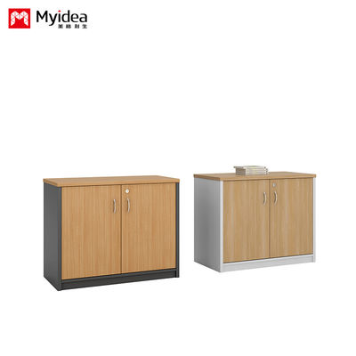 Wall Mounted Low Cabinet Large Capacity Filing Cabinet with Key Lock Double Door Customizable Classified Storage IP40 Rating