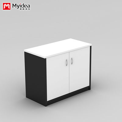 Wall Mounted Low Cabinet Large Capacity Filing Cabinet with Key Lock Double Door Customizable Classified Storage IP40 Rating