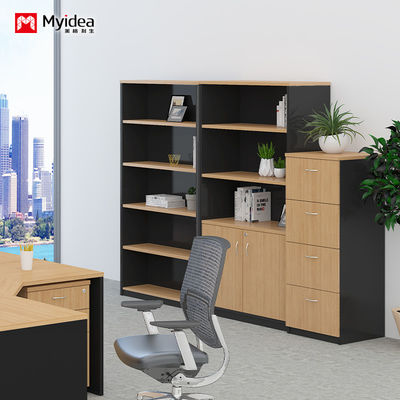 Wall Mounted Low Cabinet Large Capacity Filing Cabinet with Key Lock Double Door Customizable Classified Storage IP40 Rating