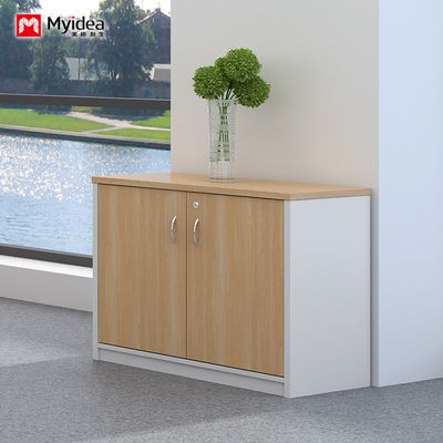 Wall Mounted Low Cabinet Large Capacity Filing Cabinet with Key Lock Double Door Customizable Classified Storage IP40 Rating