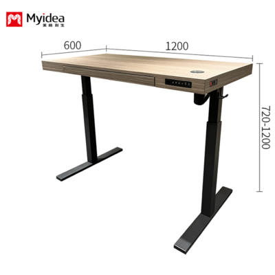 Mesa Executiva Simples e Confortável, Mesa de Elevação com Motor Único Silencioso, Mesa com Design Estável e Multifuncional para Uso em Escritório