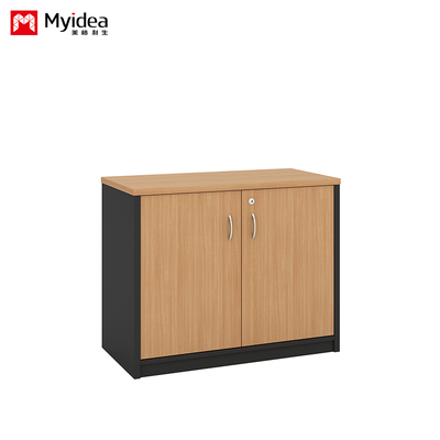 Porta dupla com fechadura de chave, arquivo de grande capacidade, arquivo baixo montado na parede, arquivo classificado personalizável